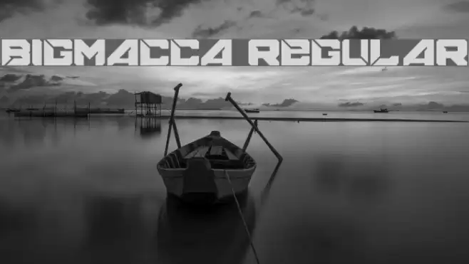BIGMACCA Regular Font examples