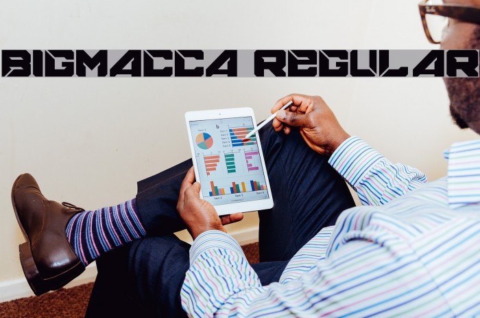 BIGMACCA Regular Example 2