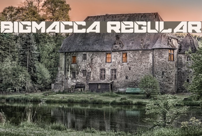 BIGMACCA Regular Example 3