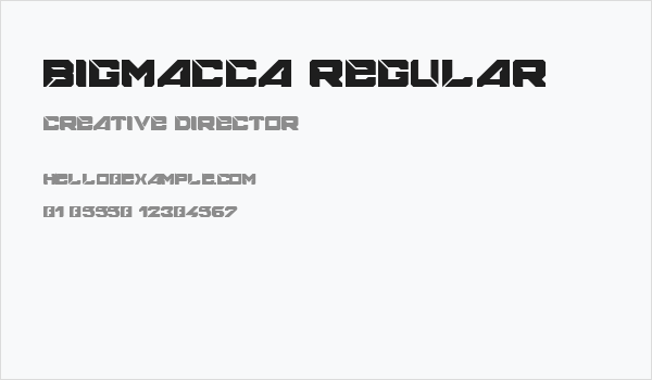 BIGMACCA Regular Business Card