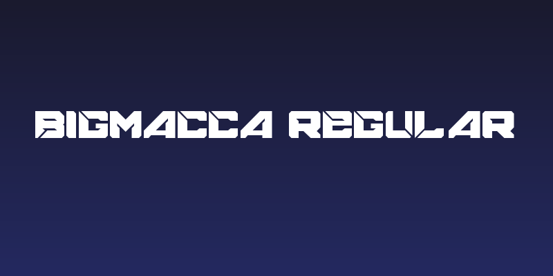 BIGMACCA Regular Social Header