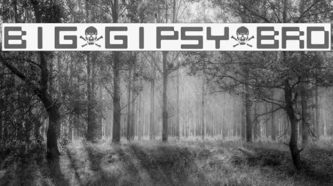 BIG_GIPSY_BRO Font examples