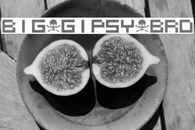 BIG_GIPSY_BRO Font examples