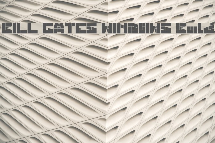 BILL GATES WINDOWS Bold Font examples