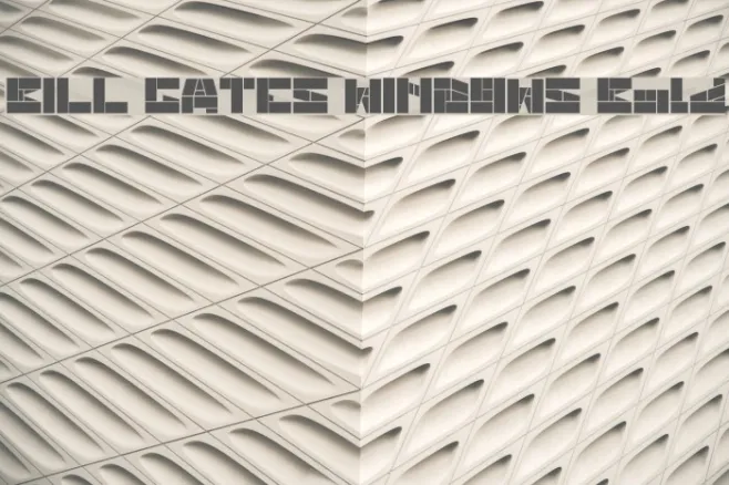 BILL GATES WINDOWS Bold Example 1