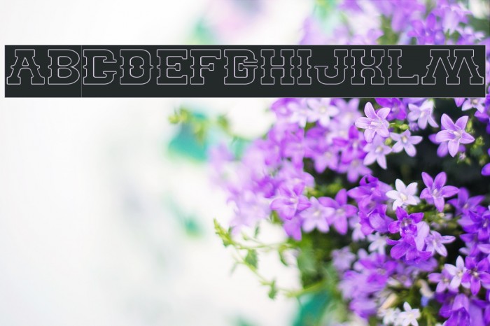 BILLY THE KID-Hollow-Inverse Example 3