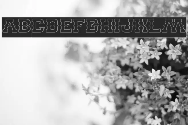 BILLY THE KID-Hollow-Inverse Font examples