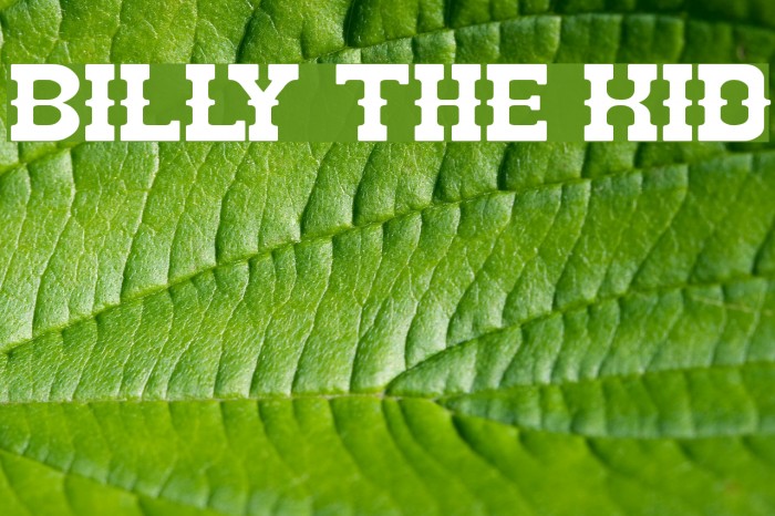 BILLY THE KID Font examples