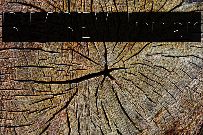 BIMBEY Inner Font examples