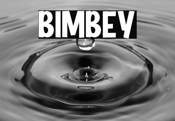 BIMBEY Example 3