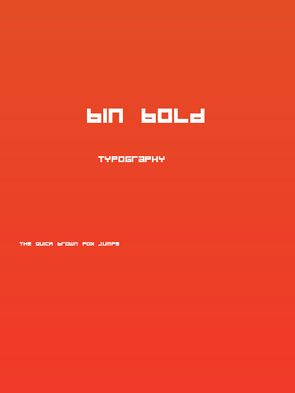 BIN Bold Poster