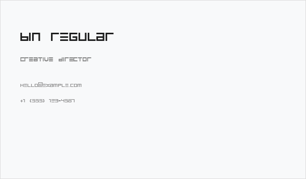 BIN Regular Business Card