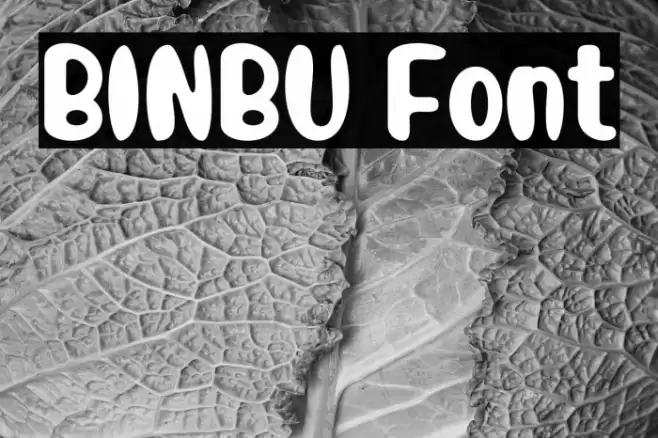 BINBU Font examples