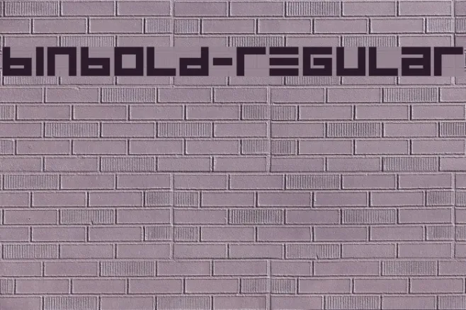 BINBold-Regular Example 1