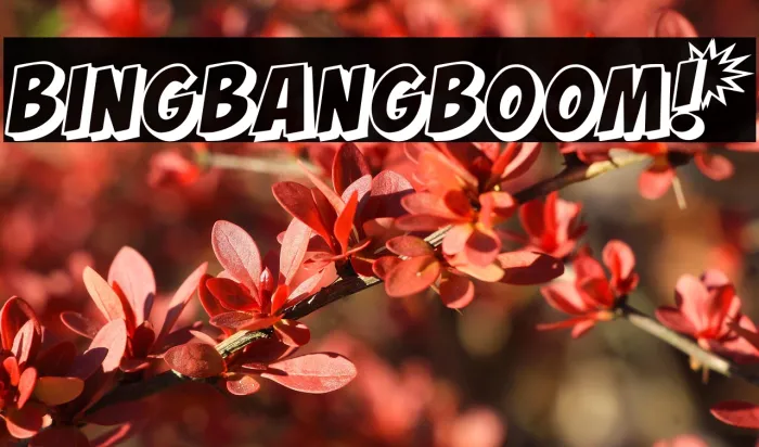 BING BANG BOOM! Example 1
