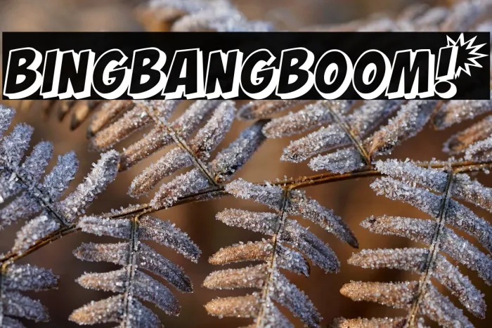 BING BANG BOOM! Example 3