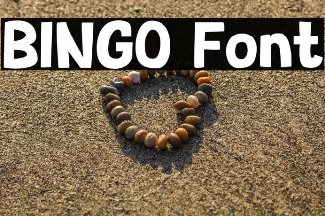 BINGO Example 2