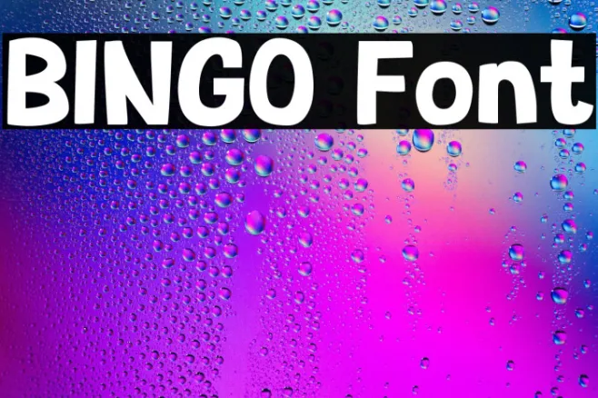BINGO Example 3