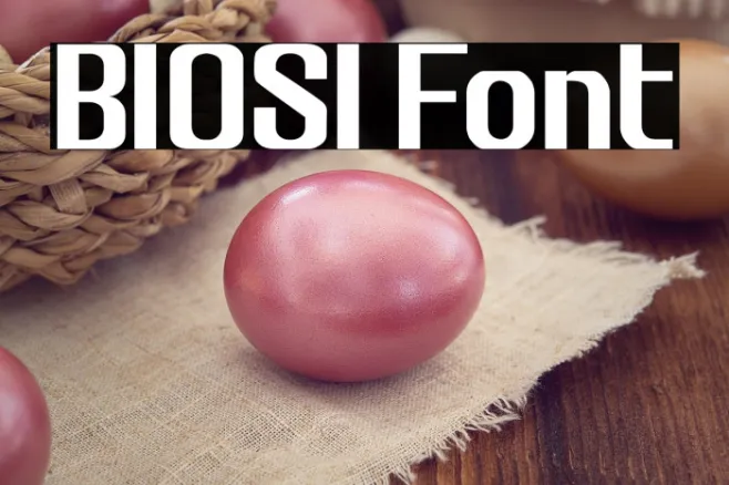 BIOSI Example 2