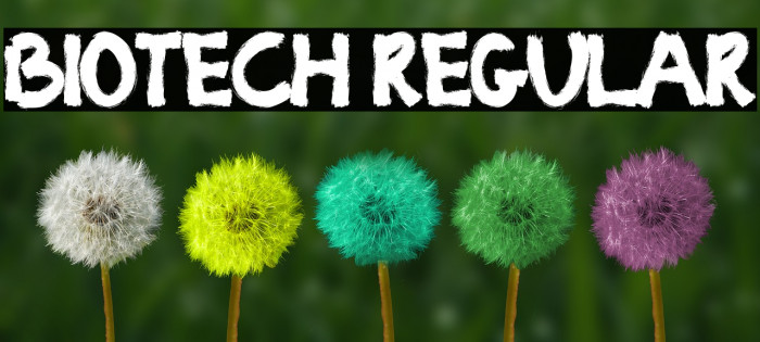 BIOTECH Regular Font examples
