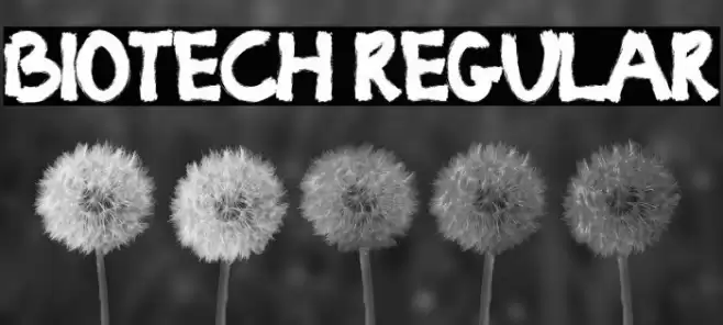 BIOTECH Regular Font examples