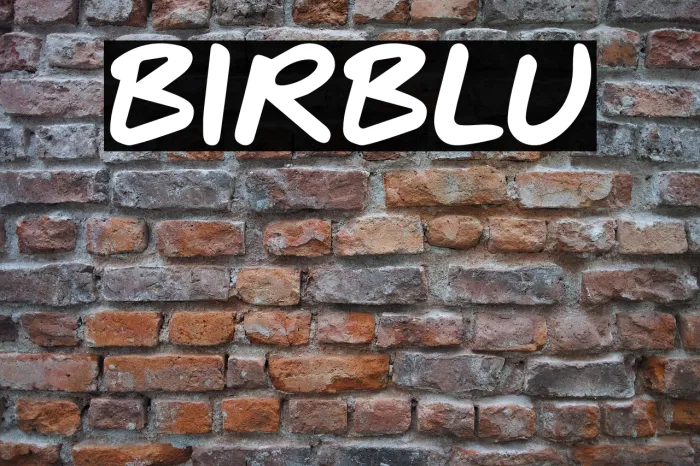 BIRBLU Example 1