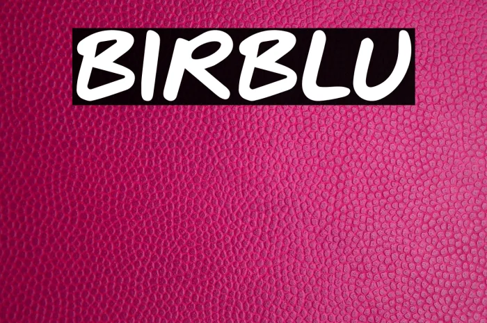 BIRBLU Example 2