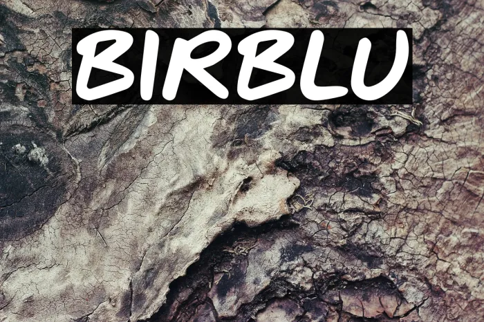 BIRBLU Example 3