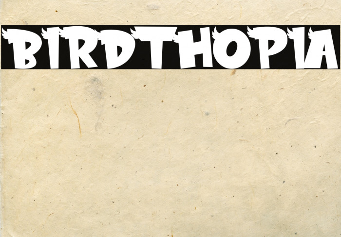 BIRDTHOPIA Example 1