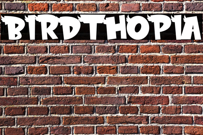 BIRDTHOPIA Example 2