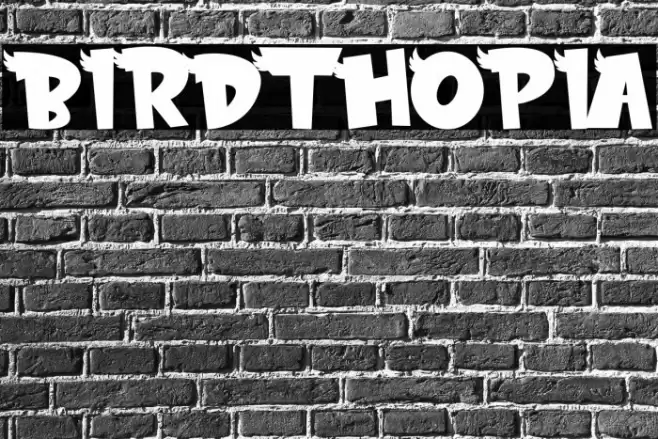 BIRDTHOPIA Font examples