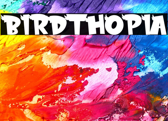 BIRDTHOPIA Example 3