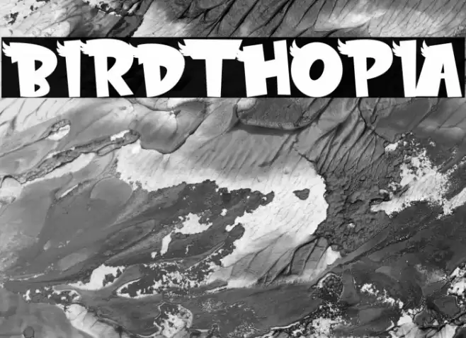 BIRDTHOPIA Font examples