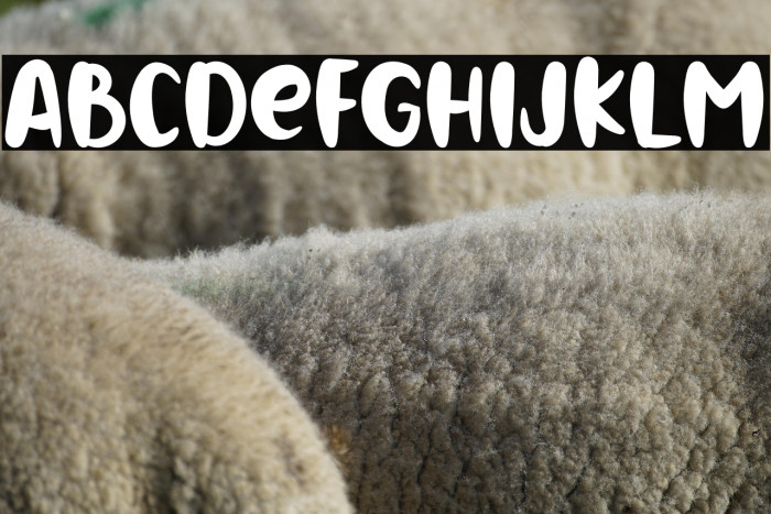 BIRTHDAY HOLIDAY Example 1