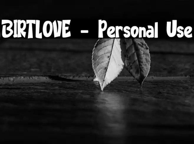 BIRTLOVE - Personal Use Font examples