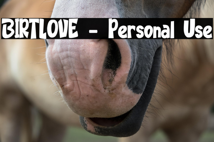 BIRTLOVE - Personal Use Example 3