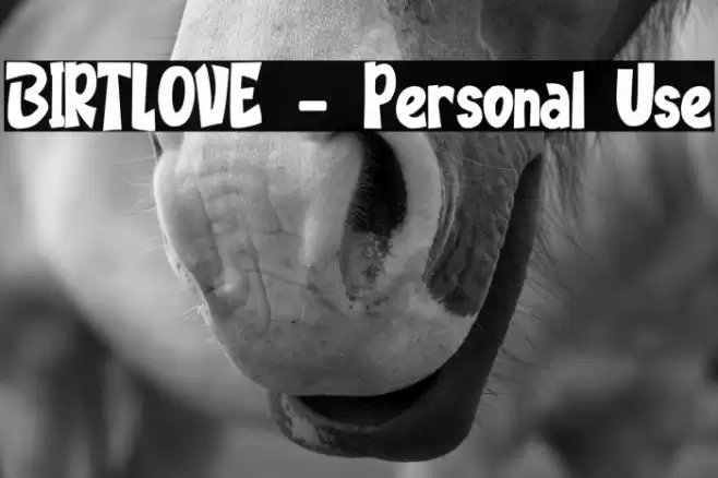 BIRTLOVE - Personal Use Font examples