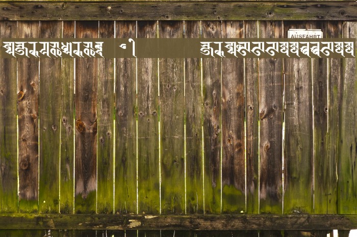 BISHOWSON2 Ranjana Lipi ISBN9993355933 Font examples