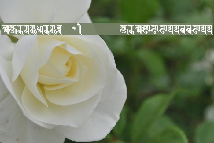 BISHOWSON2 Ranjana Lipi ISBN9993355933 Font examples
