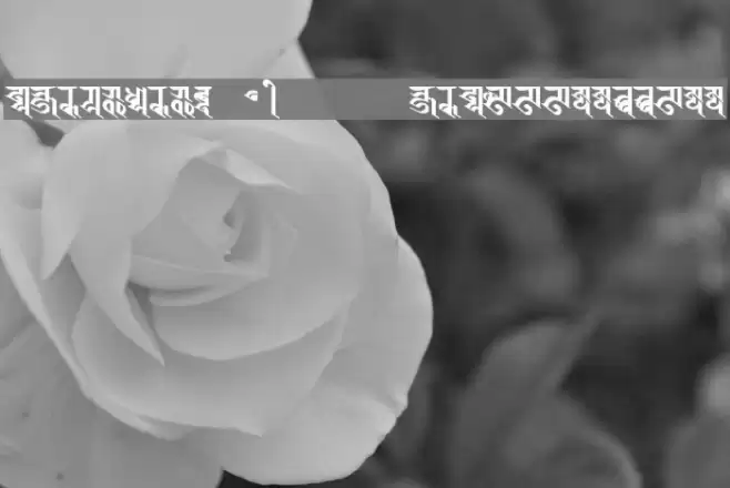 BISHOWSON2  Ranjana Lipi        ISBN9993355933 Font examples