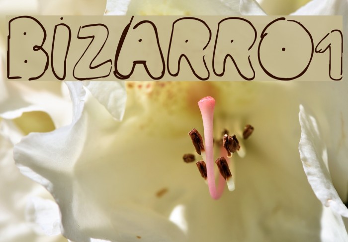 BIZARRO1 لخطوط تنزيل examples