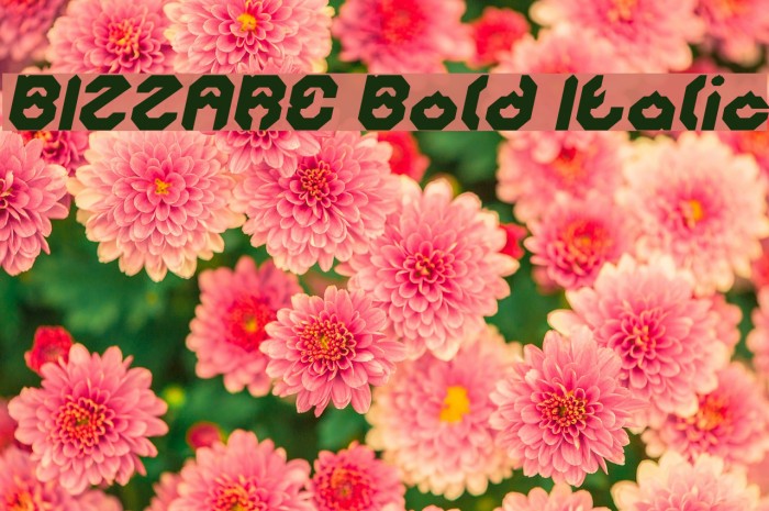 BIZZARE Bold Italic Font examples