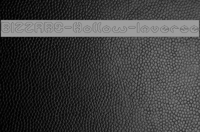 BIZZARE-Hollow-Inverse Example 1
