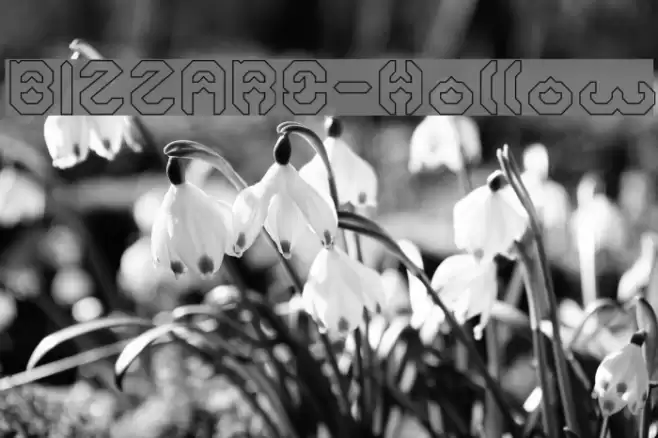 BIZZARE-Hollow Font examples