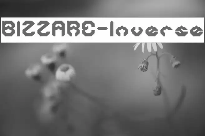 BIZZARE-Inverse Font examples