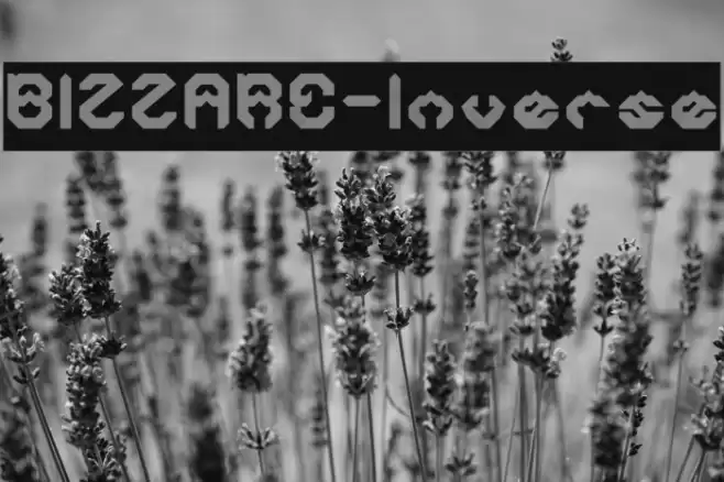 BIZZARE-Inverse Font examples