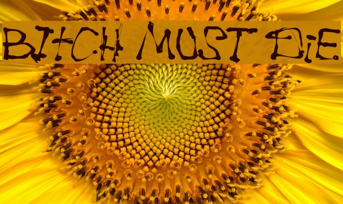 BItCH MUST DiE Example 1