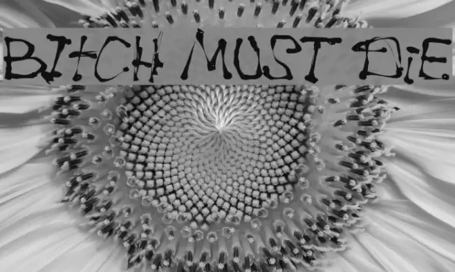 BItCH MUST DiE Font examples