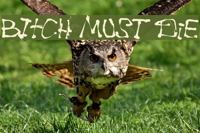 BItCH MUST DiE Example 2