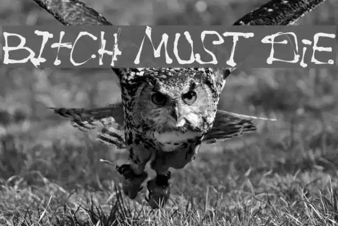BItCH MUST DiE Font examples